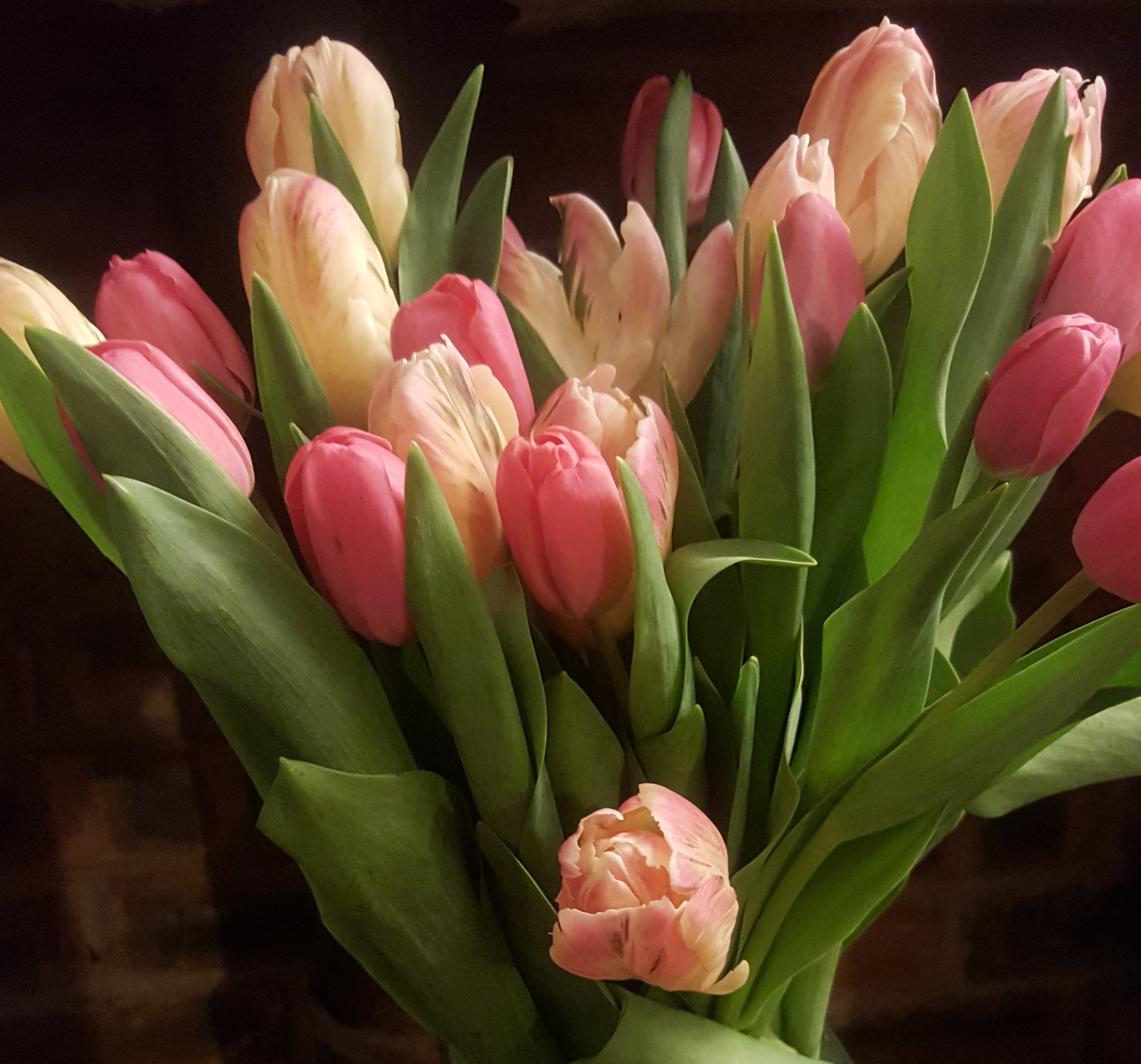 Healthy Politics Matters